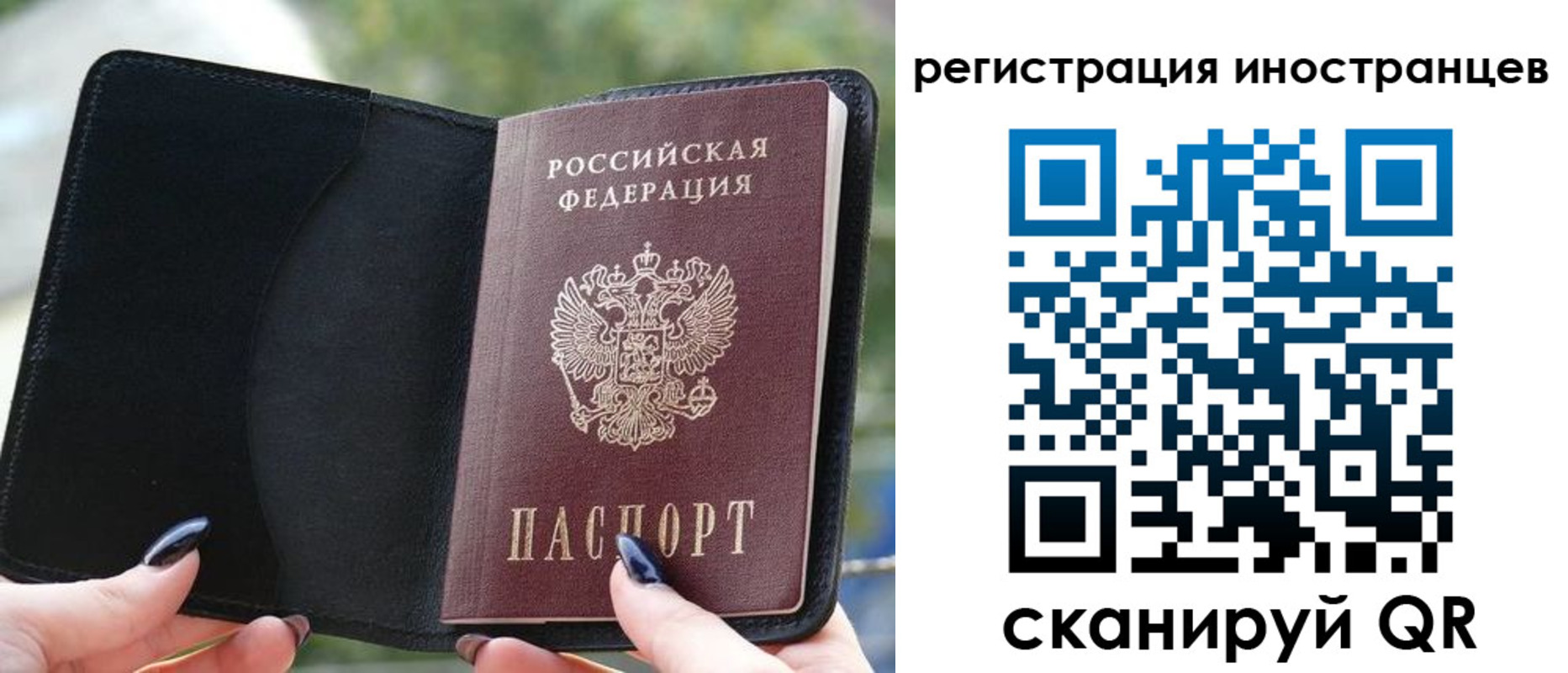 найти адрес прописки в Питкяранте